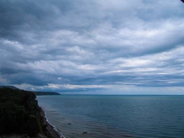 büyüme, çevre, doğa, yeşil, yaşam, bitki, arkaplan, organik, insan, ekoloji, konsept, biyoloji, yaprak