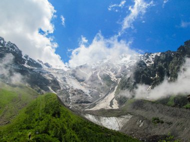 büyüme, çevre, doğa, yeşil, yaşam, bitki, arkaplan, organik, insan, ekoloji, konsept, biyoloji, yaprak