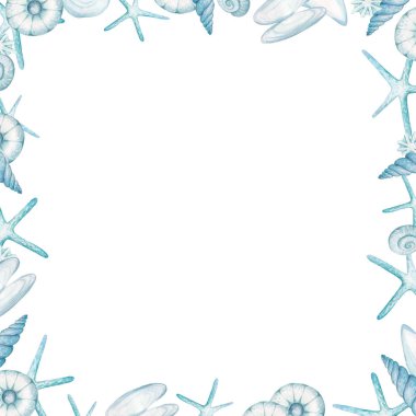 deniz kabuklarını suluboya çerçevesinden