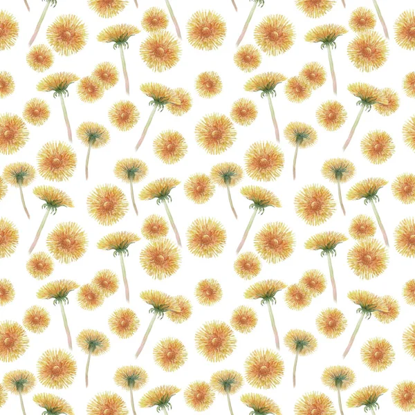 Seamless Pattern Dandelions — Stock Photo, Image