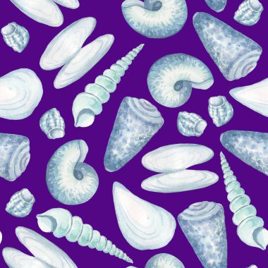 deniz kabuklarını mor bir arka plan üzerinde farklı şekiller