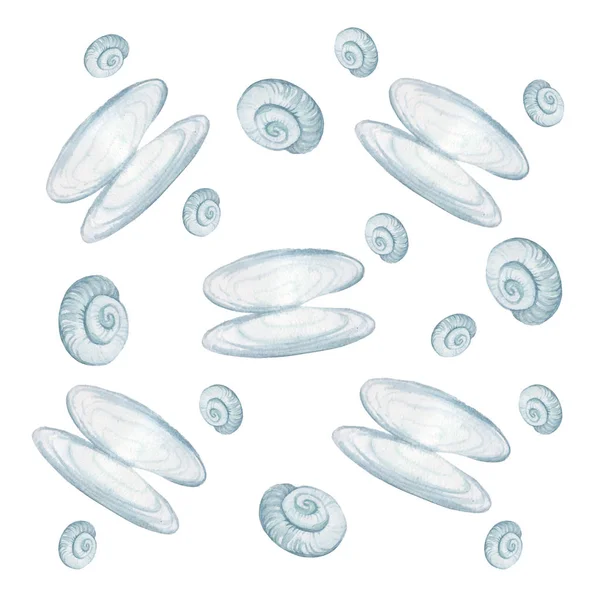Clam Shell Watercolor Set — Stock Photo, Image