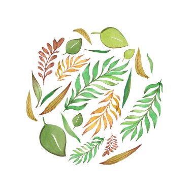 yaprakları bir daire içinde düzenlenmesi