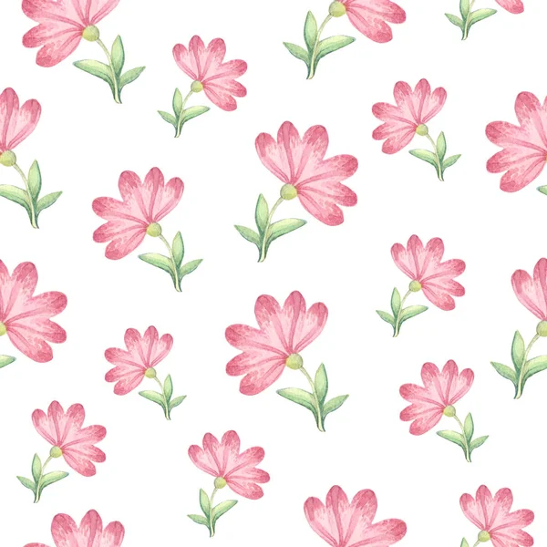 Pattern Pink Watercolor Flowers — Stock Photo, Image