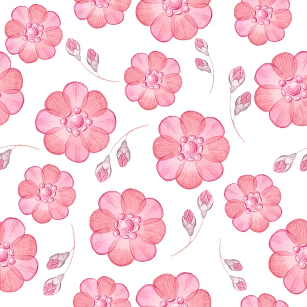 Patroon Met Roze Bloemen — Stockfoto
