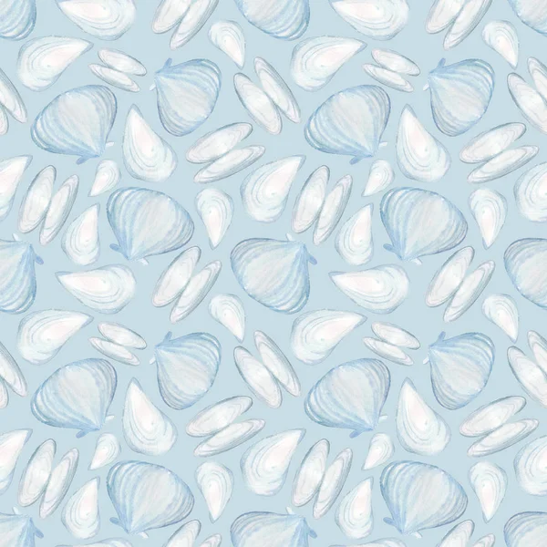 Pattern Seashells Blue Background — Stock Photo, Image