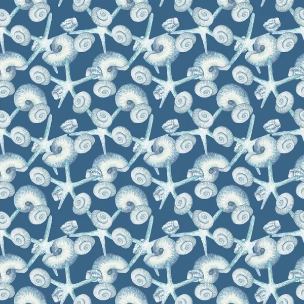 Pattern Seashells Blue Background — Stock Photo, Image