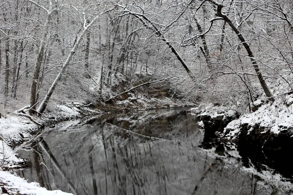 Kış manzara nehir ve yansıma ağaçlarda