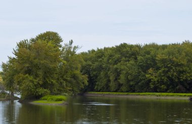 Ağaç kaplı nehir manzarası