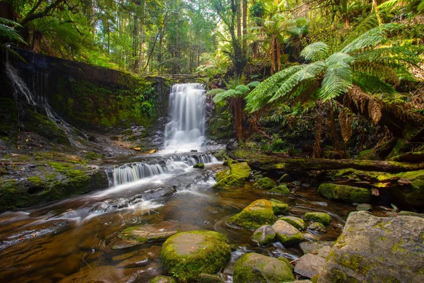 Horeshoe Tombe Dans Parc National Mont Field Près Hobart Tasmanie — Photo