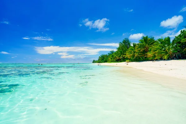 Una Spiaggia Idilliaca Con Palme Acqua Blu Rarotonga Nelle Isole — Foto Stock