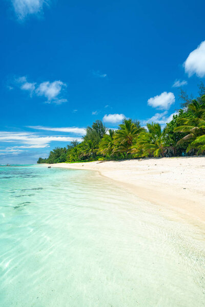 An idyllic beach with palm trees and blue water in Rarotonga in the Cook Islands