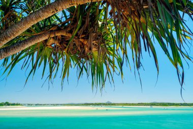 Sunshine Coast Queensland, Avustralya üzerinde mavi gökyüzü mavi su ile mükemmel bir gün Noosa tükürülmüş
