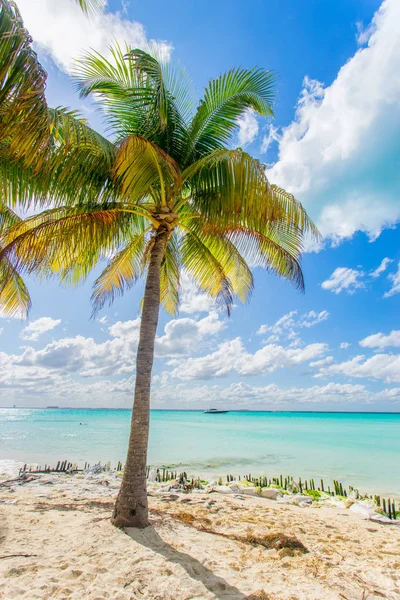 Una Spiaggia Idilliaca Isla Mujeres Cancun Messico — Foto Stock