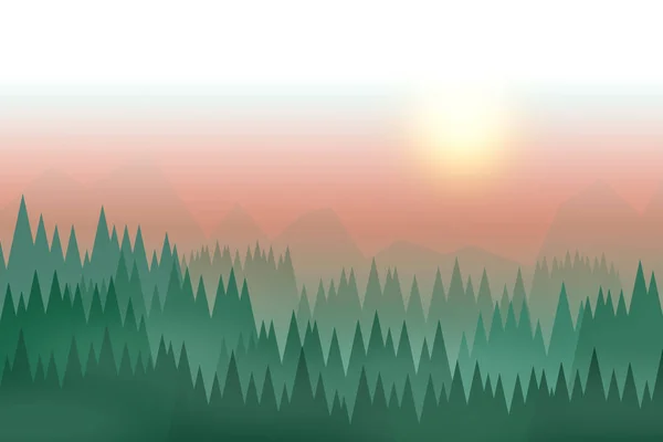 Morgennebel Wald — Stockfoto