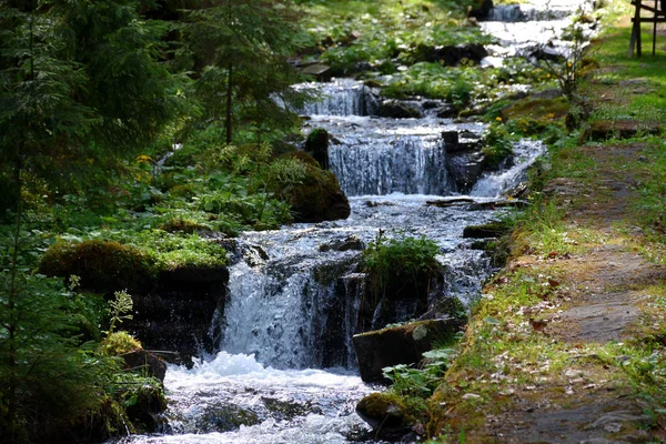 Small Mountain River Mountains Carpathians Stock Picture