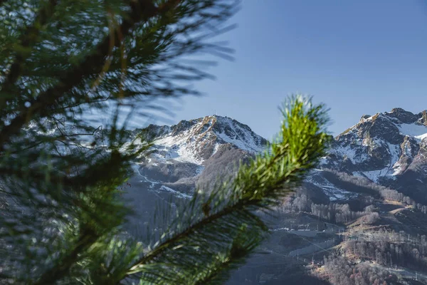 山の眺め ローザ クトール — ストック写真