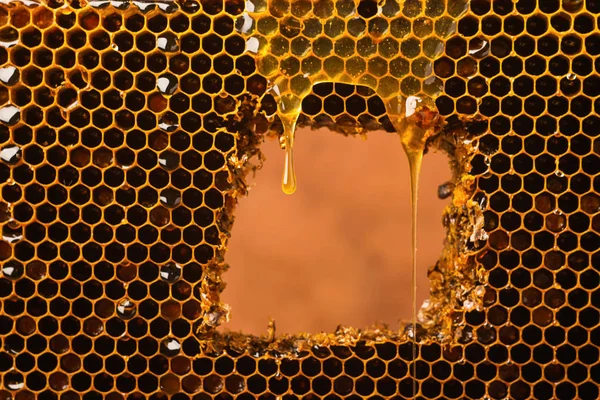 A drop of fresh clear honey flows over the honeycomb. Bee honey in a dark color frame. Minimalism in food.