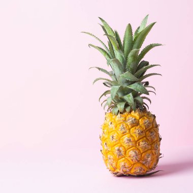 Yumuşak pembe arka planda sarı olgun ananas. Minimalizm. Boşluğu kopyala.