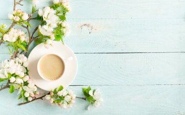 Sıcak aromatik kahve bir fincan ve ahşap mavi arka plan üzerinde bir elma ağacının çiçek açan bir dalı. Düz düzen.