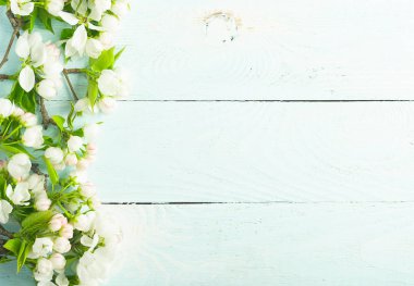 Ahşap mavi arka plan üzerinde çiçekli elma ağacı dalı. Bahar konsepti. Düz düzen. Yukarıdan görüntüleyin. Kopyalama alanı.