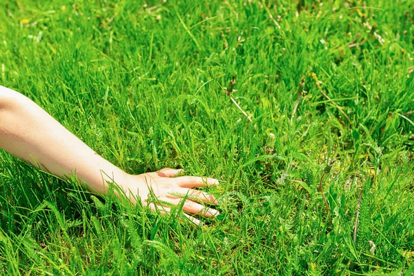 Mano de bebé se encuentra prado verde en la hierba fresca del parque. Concepto de verano, ecología. Vista desde arriba. Marco horizontal . — Foto de Stock