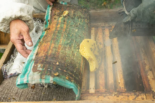 養蜂家はミツバチのミツバチと蜂蜜のフレームをチェックします。養蜂作業。選択フォーカス. ロイヤリティフリーのストック画像