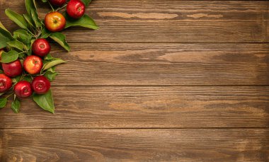 Bir rustik yaşlı arka plan üzerinde yaprakları ile taze olgun elma dalı. Sonbahar yaz hasadı. Düz düzen çerçevesi. Kopyalama alanı.