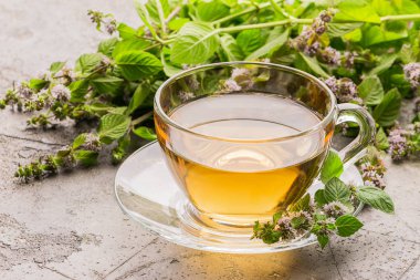 Nane melissa gri arka plan taze yaprakları ile çay içeceği fincan. Şifalı bitkisel içecek. Yatay çerçeve.