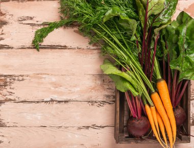 Taze organik pancar ve havuç bir sandık ahşap arka plan. Sonbahar yaz hasat konsepti. Üst te. Doğal stil.