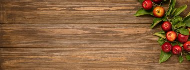 Bir rustik yaşlı arka plan üzerinde yaprakları ile taze olgun elma dalı. Sonbahar yaz hasadı. Düz düzen çerçevesi. Kopyalama alanı.