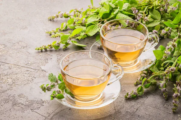 Copa de bebida de té con hojas frescas de menta melissa fondo gris. Curando la bebida herbal. Marco horizontal . — Foto de Stock