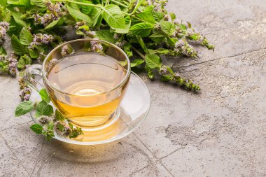 Nane melissa gri arka plan taze yaprakları ile çay içeceği fincan. Şifalı bitkisel içecek. Yatay çerçeve.