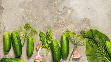 Taze organik salatalık çeşitli baharatlar koruma hazırlanması. . Doğal tarz. Kopya alanı. Yatay çerçeve.