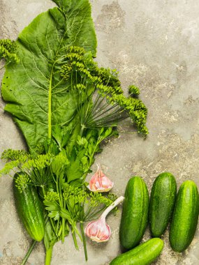 Taze organik salatalık koruma hazırlanması için çeşitli baharatlar. Doğal tarz. Kopya alanı. Dikey çerçeve.