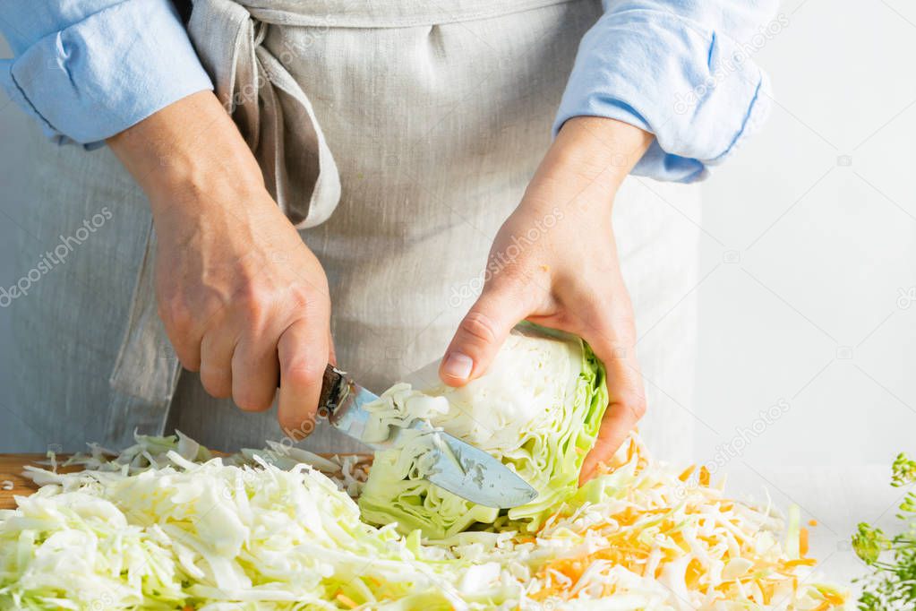 Woman slices fresh organic cabbage for making salad or for salting cabbage natural background. Vegetarian food concept.