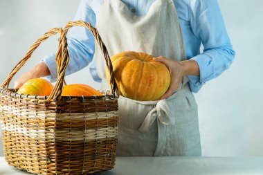 Kadın elleri mutfak masasında kabakile büyük bir sepet tutun. Biyo çiftlik organik gıda kavramı. Kinfolk Tarzı