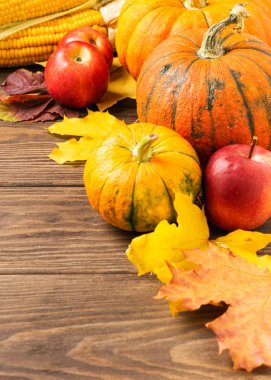 Sonbahar natürmortları olgun balkabağı elmaları sararmış mısır yaprakları ahşap arka plan. Şükran Günü Sonbahar Konsepti.