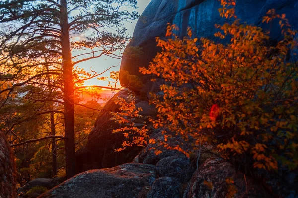 Akşam dağları manzarası. Dağlar batan güneşe karşı ağaçları kayalar. Krasnoyarsk Ulusal Park Sütunları.