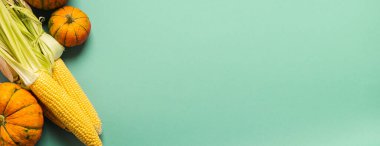 Nane mavisi arka planda taze olgun balkabağı ve mısır. Şükran Günü Sonbahar Konsepti. Düz plan. Metin için boş yer