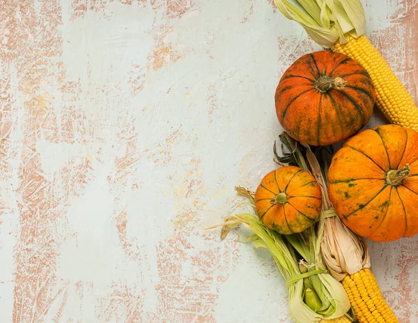 Autumn frame decorative pumpkin corn on a light background. Thanksgiving Autumn Concept. Copy space