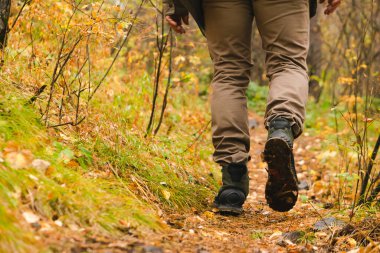 Bir adam yürüyüş botlarıyla orman yolunda yürüyor. Turizm ve macera konsepti. Yatay çerçeve