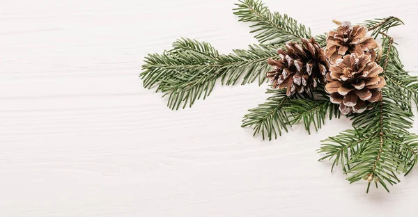 Flauschiger Weihnachtszweig Aus Fichten Und Waldzapfen Großaufnahme Auf Weißem Hintergrund — Stockfoto