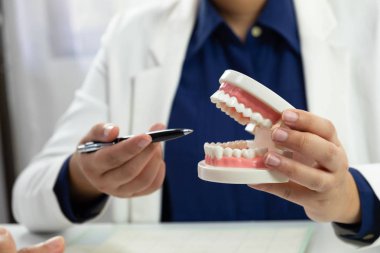 Dişçi Dental kontrol diş tedavisi oral tedavi.