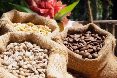 Küçük çuvallarda kahve çekirdekleri. Arka plan kahverengi nehir.