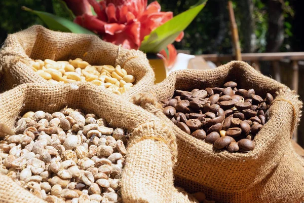 Küçük çuvallarda kahve çekirdekleri. Arka plan kahverengi nehir.