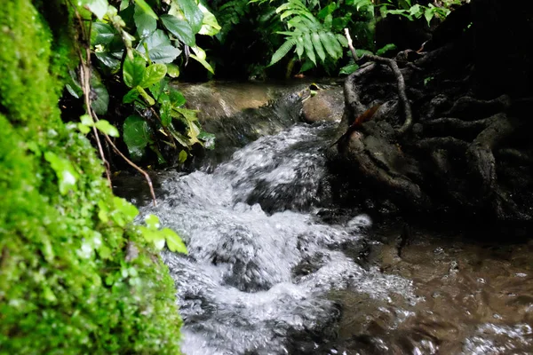 Corriente que fluye en la naturaleza con rocas y musgo en el lado — Foto de Stock