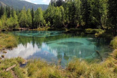 Altay bölgesi, Şofben göl Dağları arka plan üzerinde