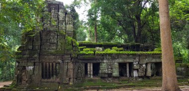 Kamboçya'nın yıkılan binalarda. Çim, moss, ağaçlar.