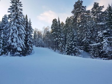 İniş insanlar olmadan dağın üzerinden kar. Ağaçlar, Güneş, kar.
